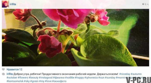 hashtagin käyttö instagramissa Hashtags instagram