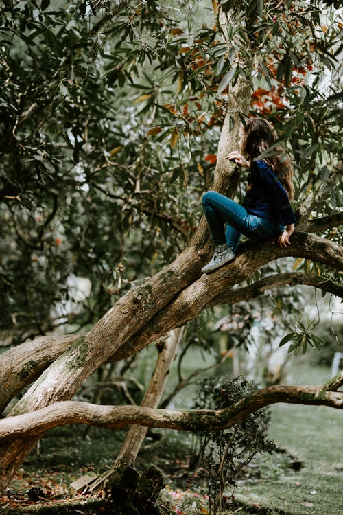 syksyn valokuvaideoita instagramille - tyttö puussa